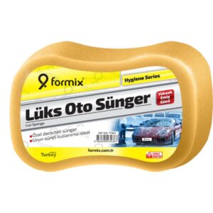 Oto Süngeri